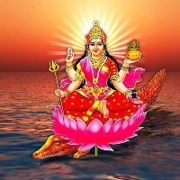 CM की घोषणा कागजों तक सीमित, 45 वर्षों से निजी खर्च पर शोभायात्रा निकाल रही साईं गणेश मंदिर समिति